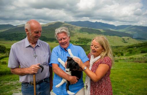 Sheepdog Demonstration 