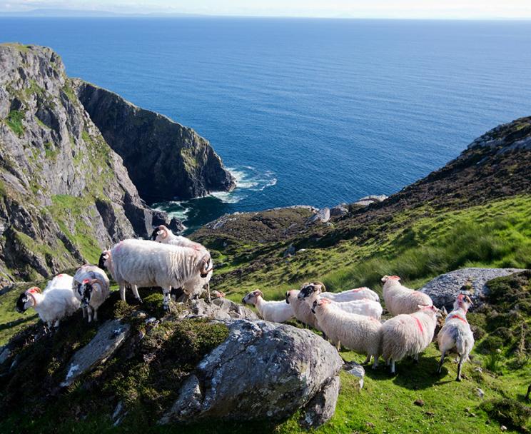 Slieve League Cliffs